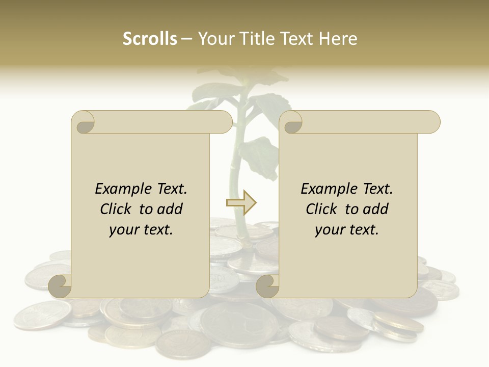 Coins And Plant Isolated On White Background PowerPoint Template