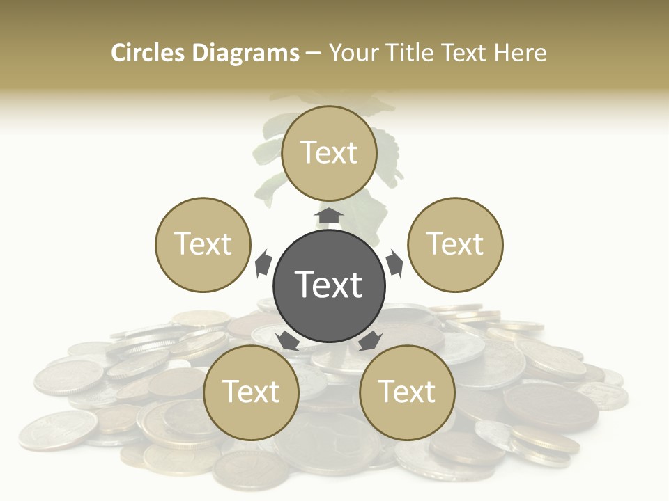 Coins And Plant Isolated On White Background PowerPoint Template