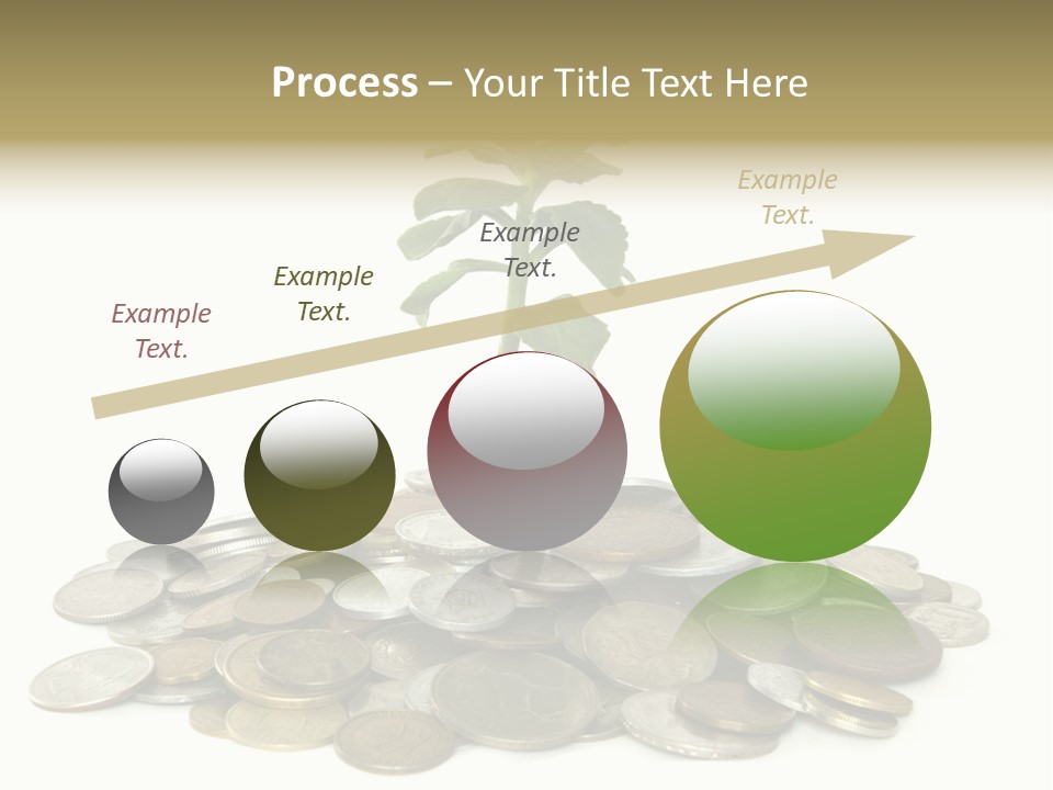 Coins And Plant Isolated On White Background PowerPoint Template