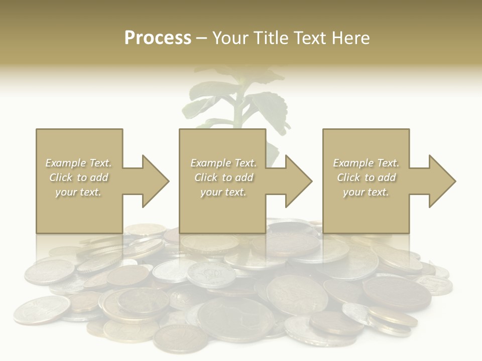 Coins And Plant Isolated On White Background PowerPoint Template