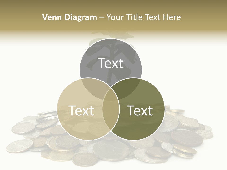 Coins And Plant Isolated On White Background PowerPoint Template