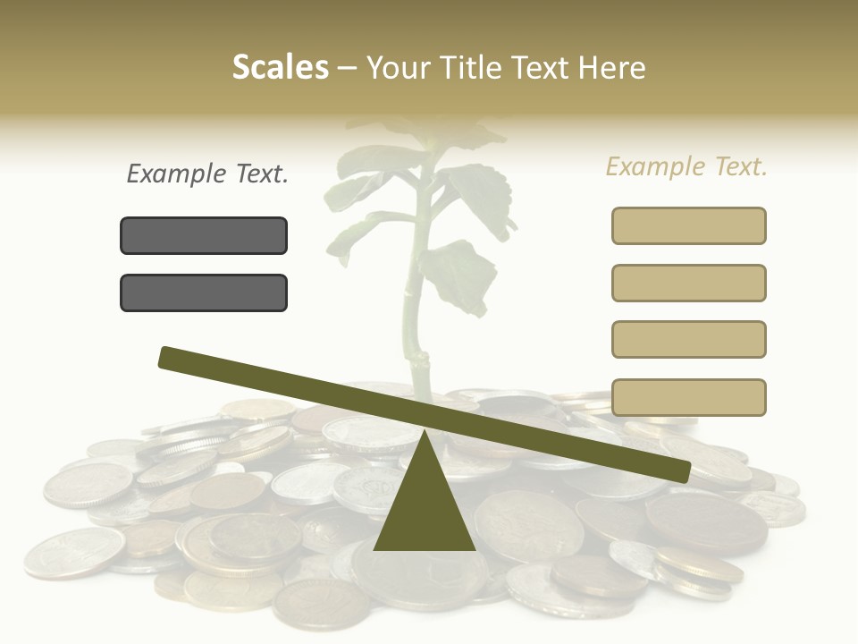 Coins And Plant Isolated On White Background PowerPoint Template