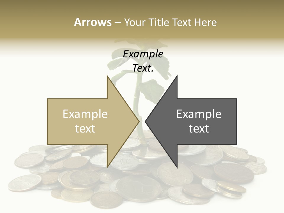 Coins And Plant Isolated On White Background PowerPoint Template