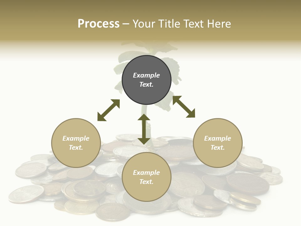 Coins And Plant Isolated On White Background PowerPoint Template