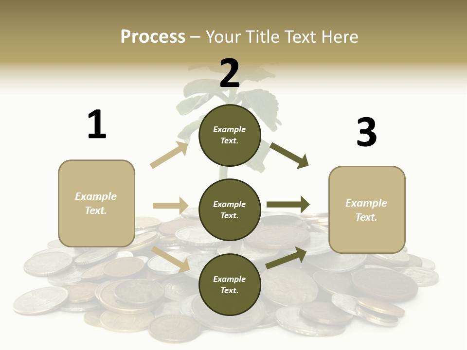 Coins And Plant Isolated On White Background PowerPoint Template