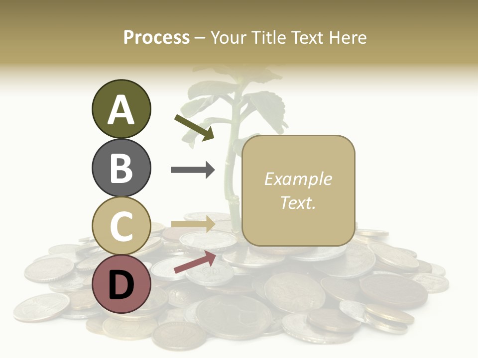 Coins And Plant Isolated On White Background PowerPoint Template