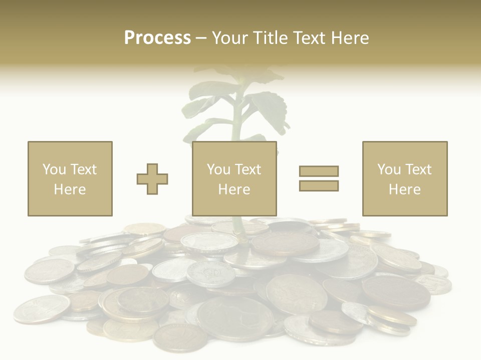 Coins And Plant Isolated On White Background PowerPoint Template