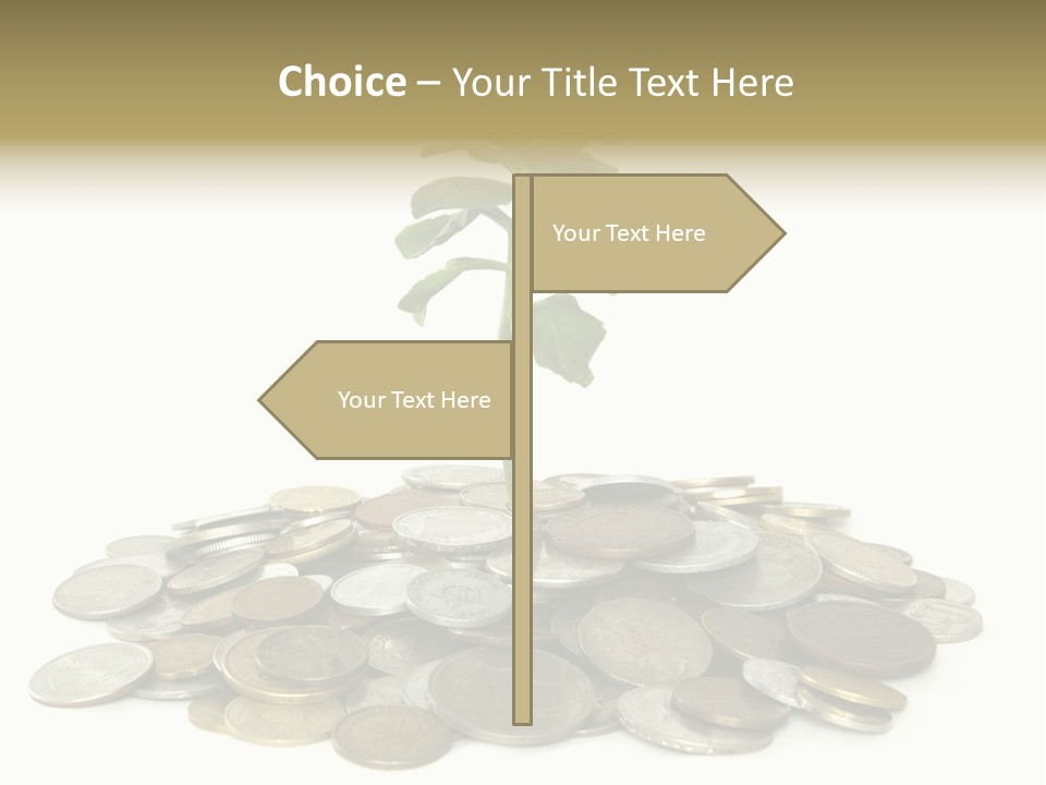 Coins And Plant Isolated On White Background PowerPoint Template