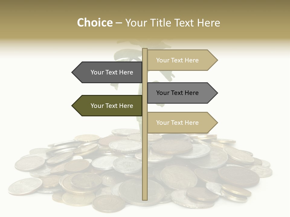 Coins And Plant Isolated On White Background PowerPoint Template