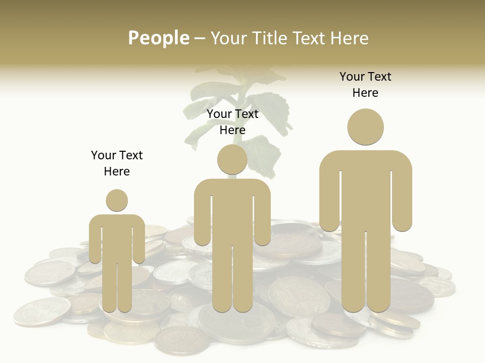 Coins And Plant Isolated On White Background PowerPoint Template