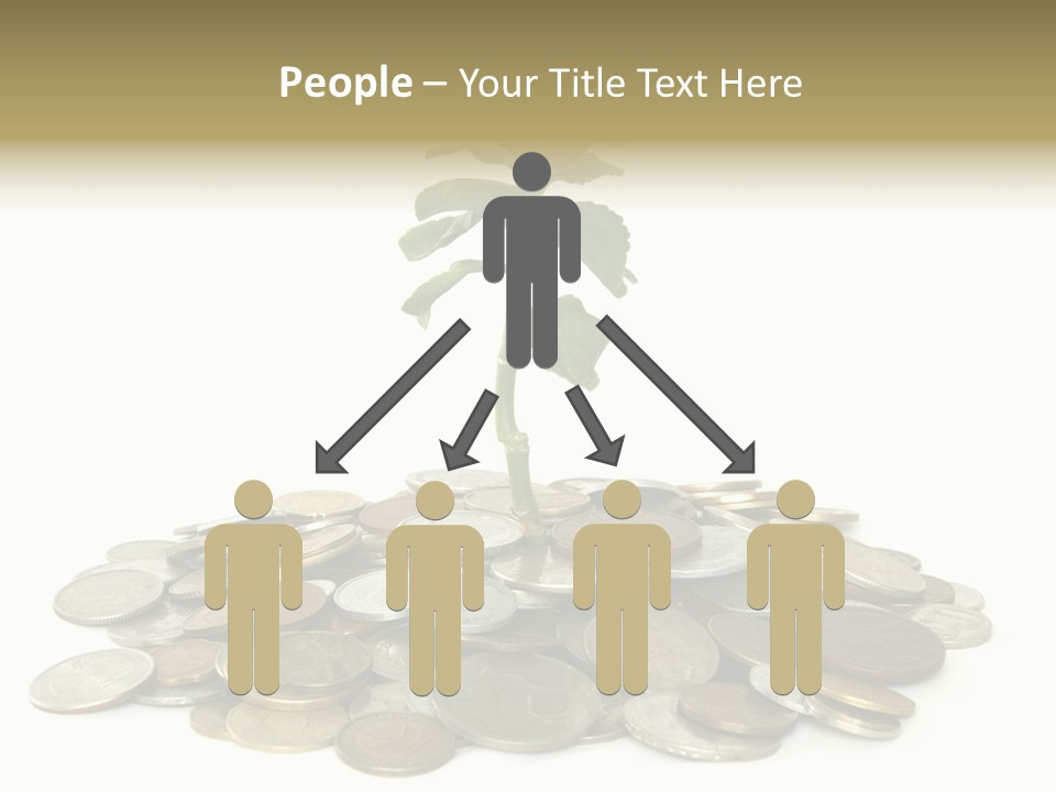 Coins And Plant Isolated On White Background PowerPoint Template