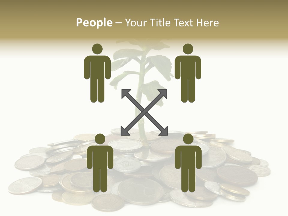 Coins And Plant Isolated On White Background PowerPoint Template