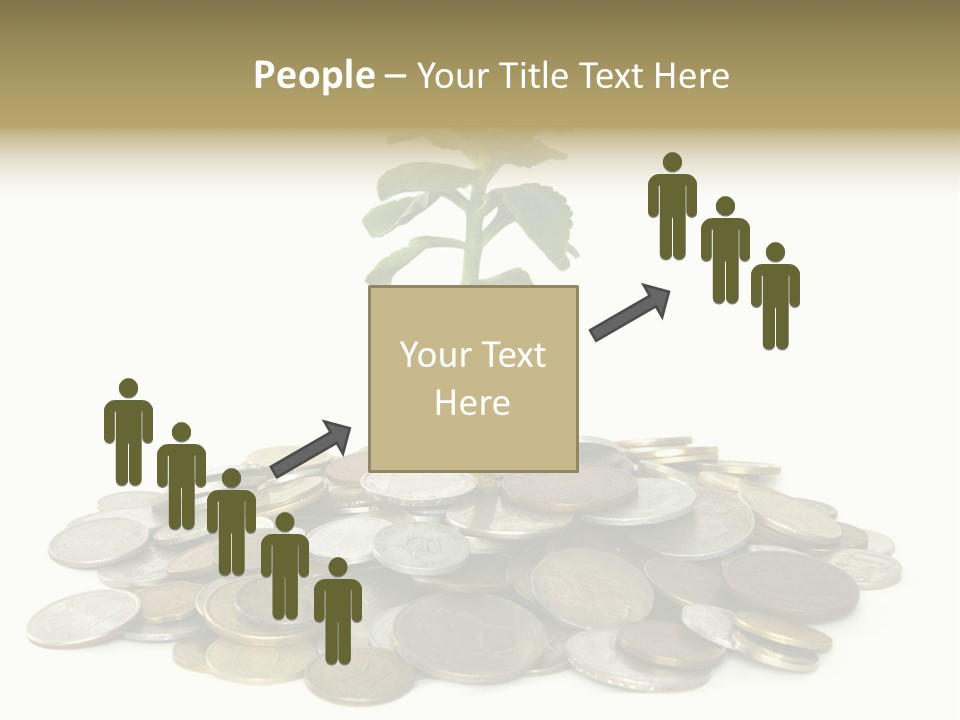 Coins And Plant Isolated On White Background PowerPoint Template