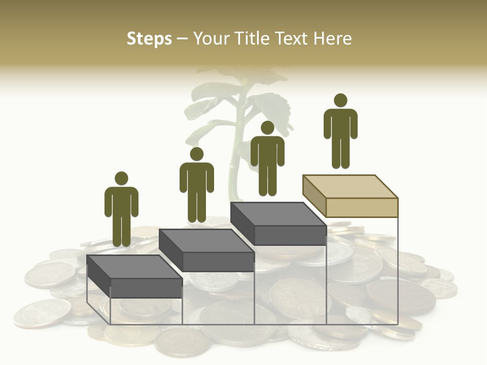 Coins And Plant Isolated On White Background PowerPoint Template