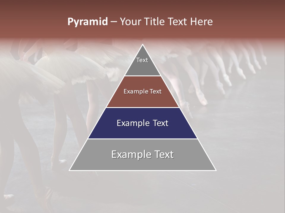 Wine Barrels In Cellar. Wide Angle View. PowerPoint Template