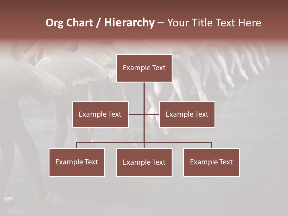 Wine Barrels In Cellar. Wide Angle View. PowerPoint Template