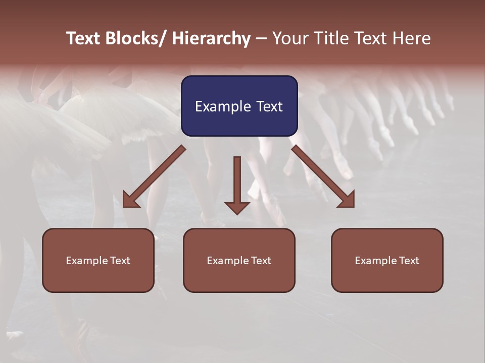 Wine Barrels In Cellar. Wide Angle View. PowerPoint Template