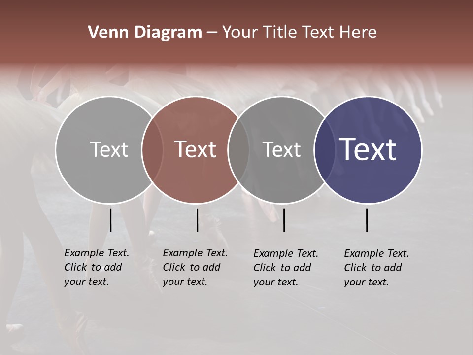 Wine Barrels In Cellar. Wide Angle View. PowerPoint Template