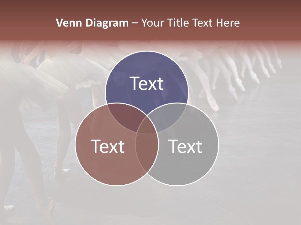 Wine Barrels In Cellar. Wide Angle View. PowerPoint Template