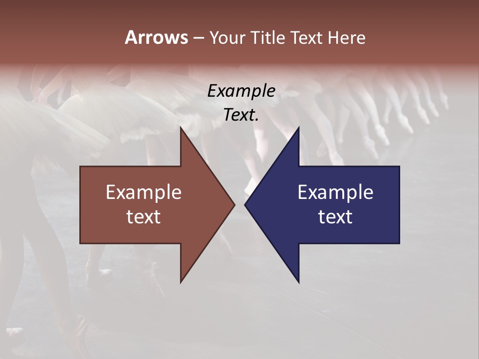 Wine Barrels In Cellar. Wide Angle View. PowerPoint Template