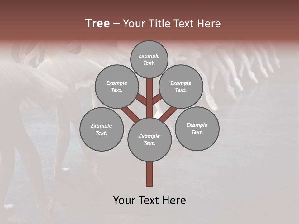 Wine Barrels In Cellar. Wide Angle View. PowerPoint Template