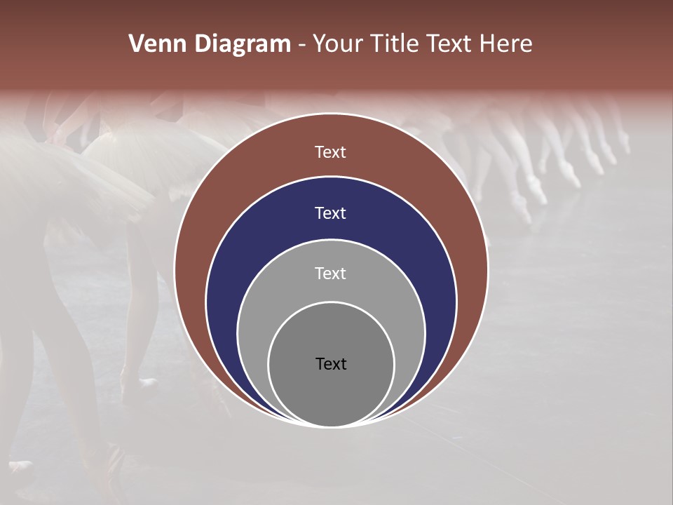 Wine Barrels In Cellar. Wide Angle View. PowerPoint Template