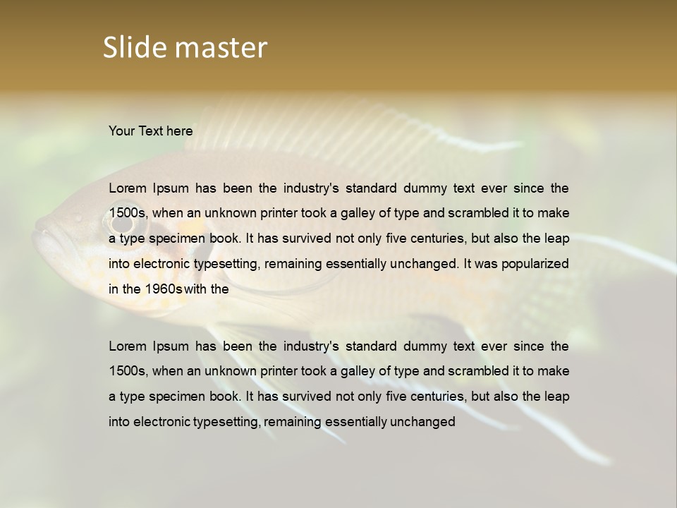 The Exotic Fish In Aquarium, Natural Lighting PowerPoint Template