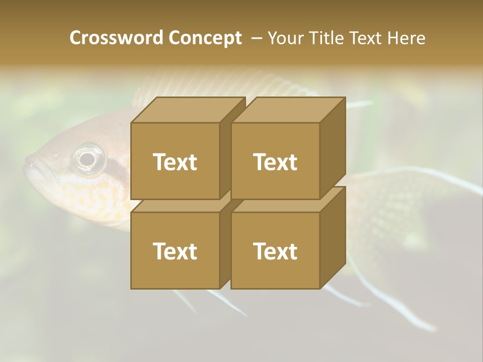 The Exotic Fish In Aquarium, Natural Lighting PowerPoint Template