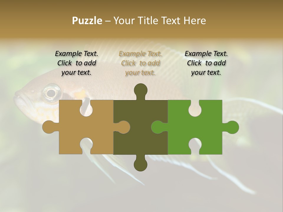 The Exotic Fish In Aquarium, Natural Lighting PowerPoint Template