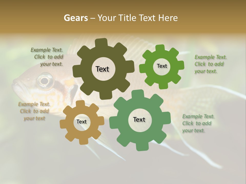 The Exotic Fish In Aquarium, Natural Lighting PowerPoint Template