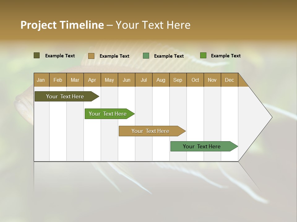 The Exotic Fish In Aquarium, Natural Lighting PowerPoint Template