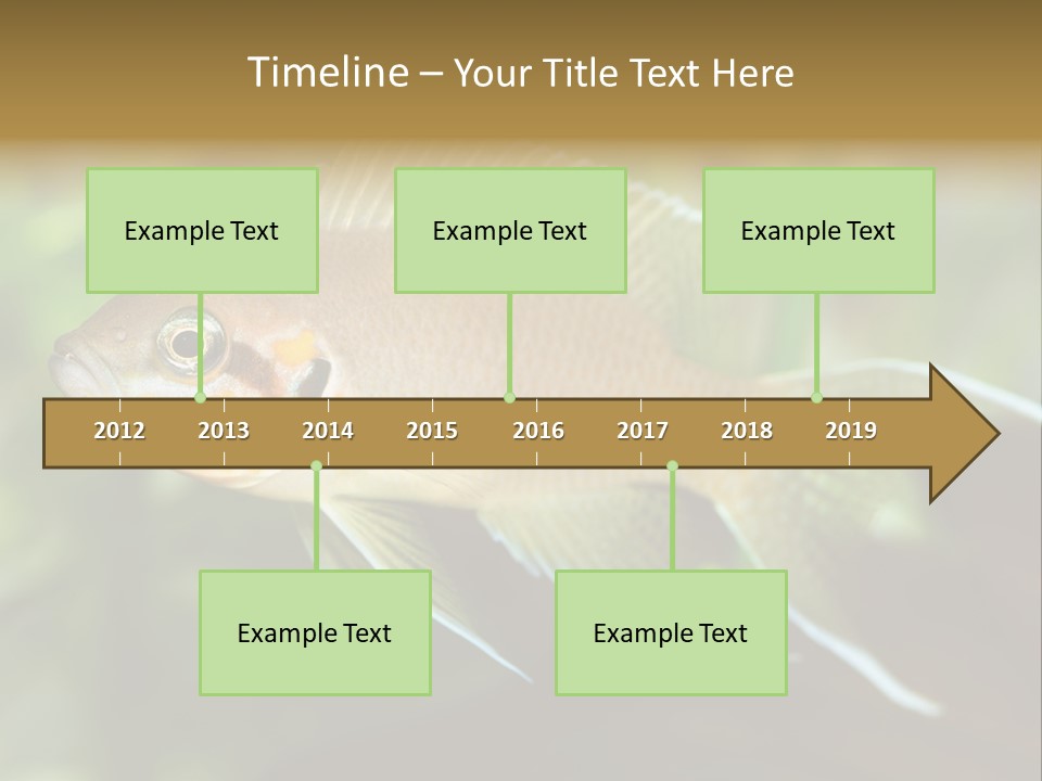 The Exotic Fish In Aquarium, Natural Lighting PowerPoint Template