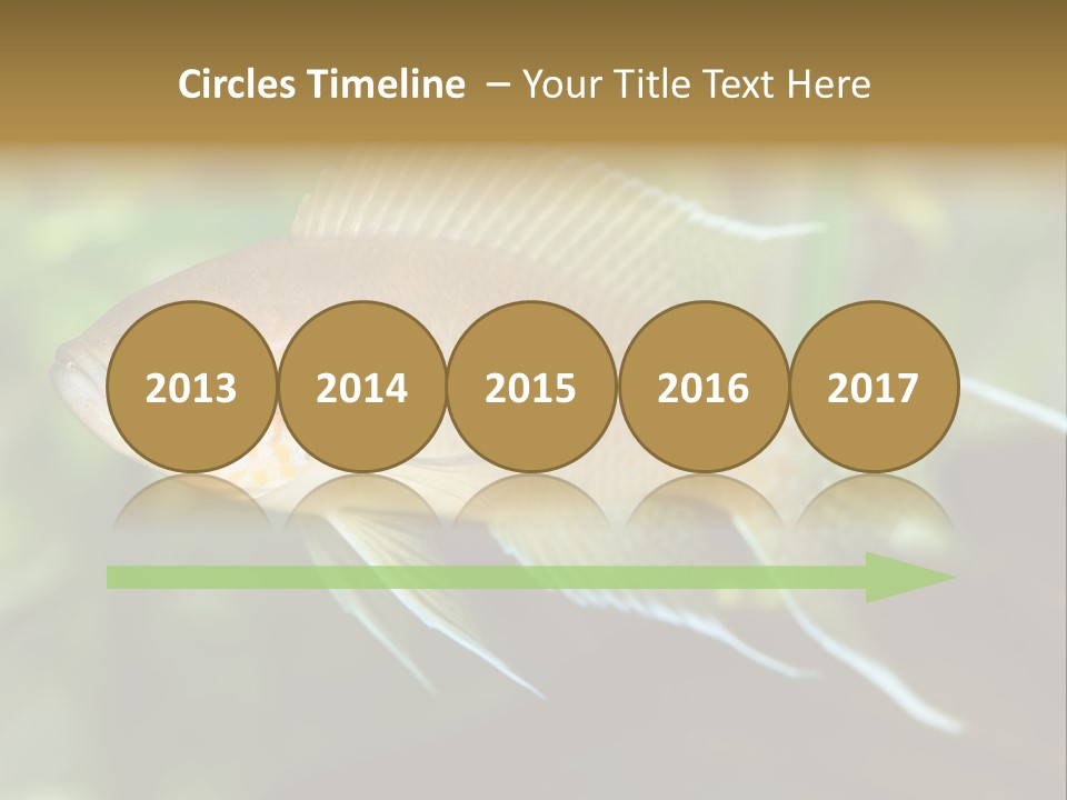 The Exotic Fish In Aquarium, Natural Lighting PowerPoint Template