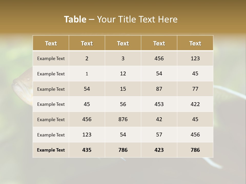 The Exotic Fish In Aquarium, Natural Lighting PowerPoint Template