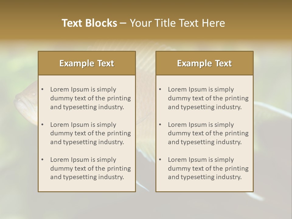 The Exotic Fish In Aquarium, Natural Lighting PowerPoint Template