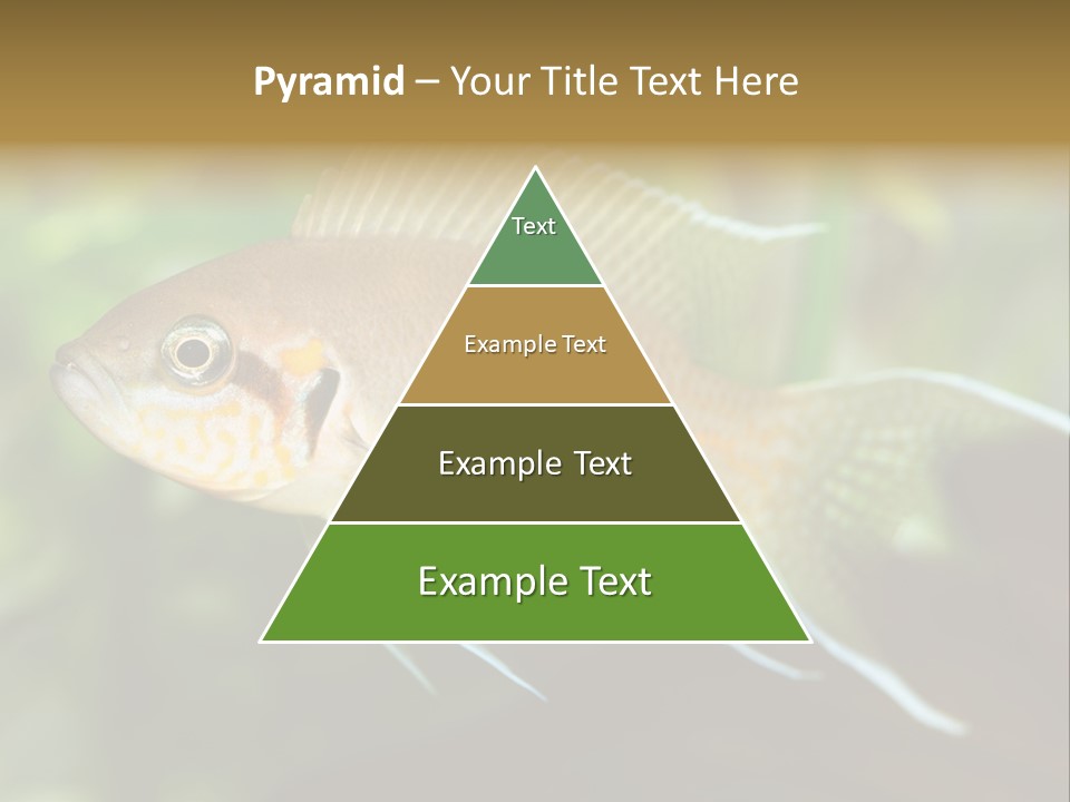 The Exotic Fish In Aquarium, Natural Lighting PowerPoint Template