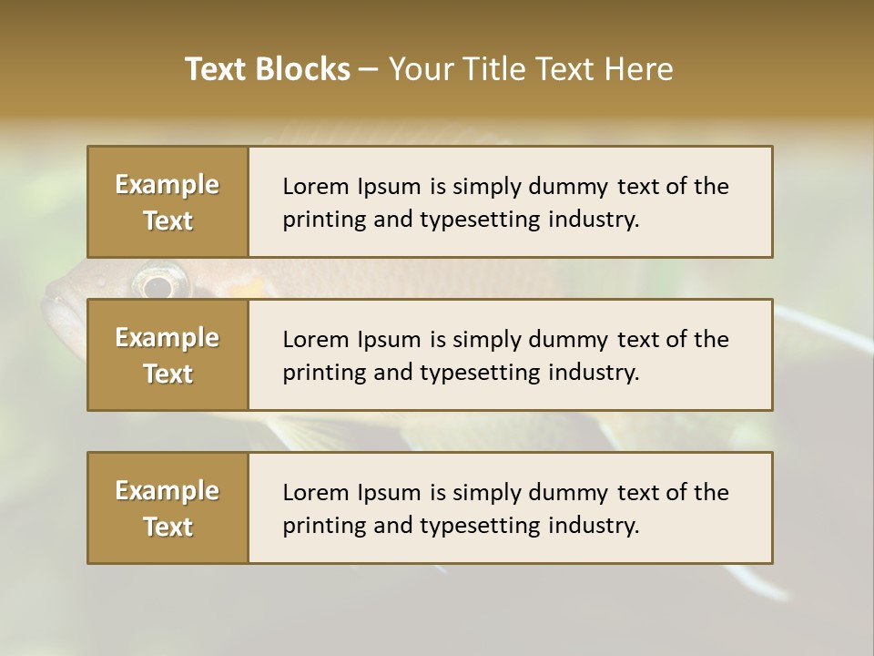 The Exotic Fish In Aquarium, Natural Lighting PowerPoint Template