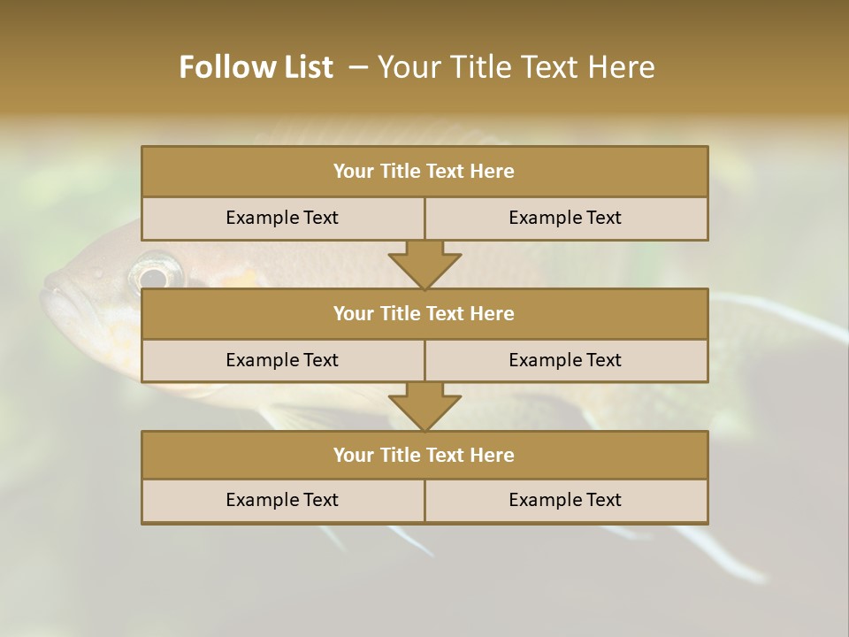 The Exotic Fish In Aquarium, Natural Lighting PowerPoint Template