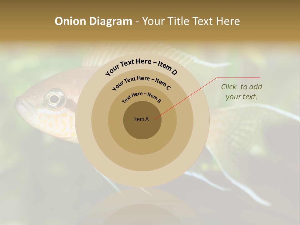 The Exotic Fish In Aquarium, Natural Lighting PowerPoint Template