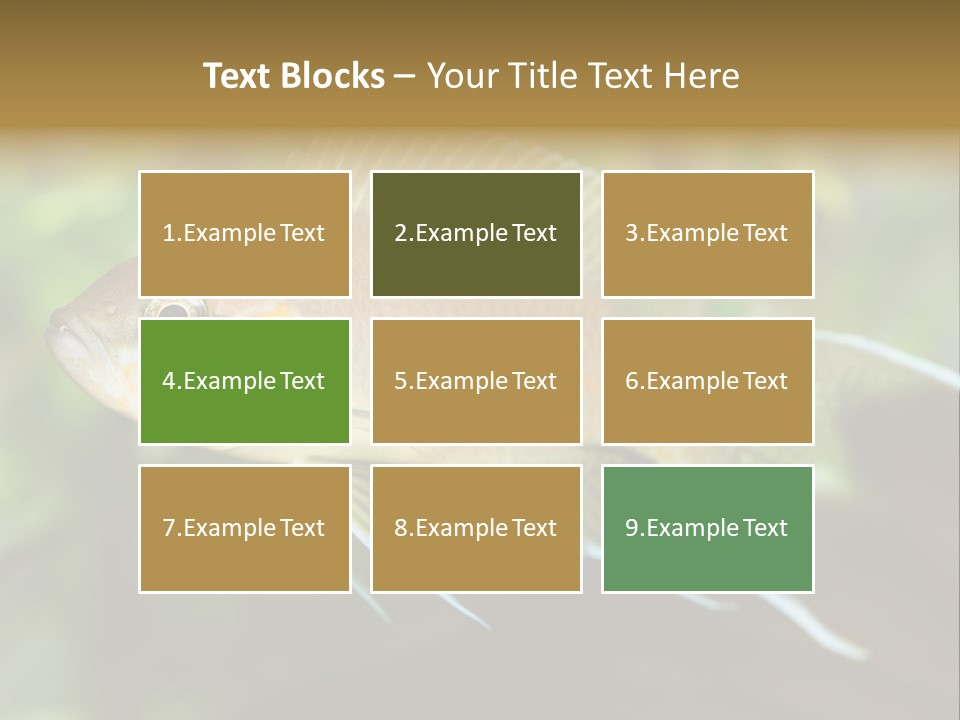 The Exotic Fish In Aquarium, Natural Lighting PowerPoint Template