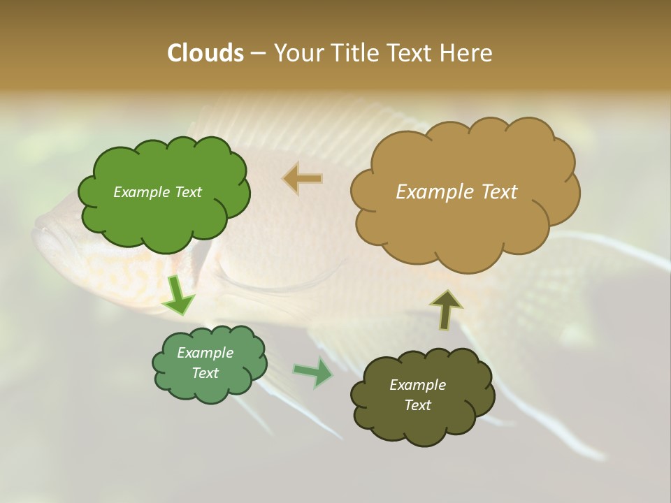 The Exotic Fish In Aquarium, Natural Lighting PowerPoint Template