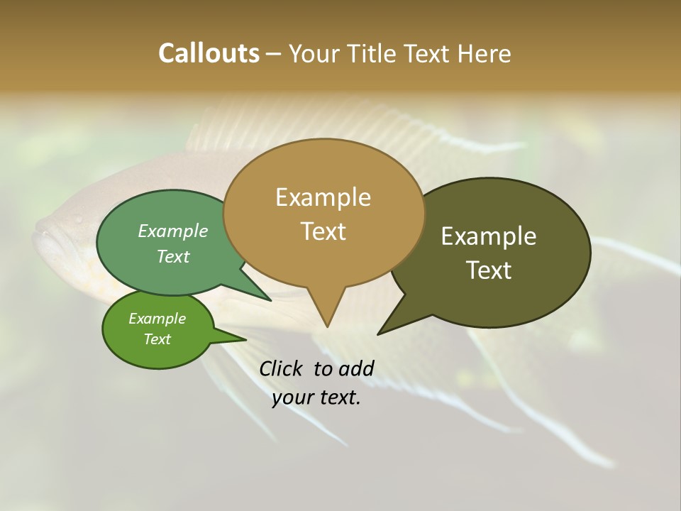 The Exotic Fish In Aquarium, Natural Lighting PowerPoint Template