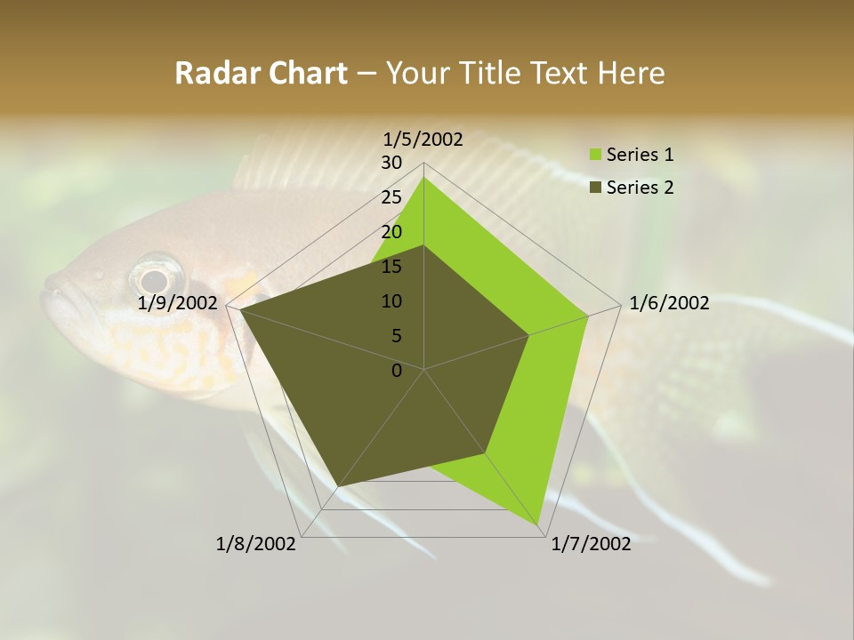 The Exotic Fish In Aquarium, Natural Lighting PowerPoint Template