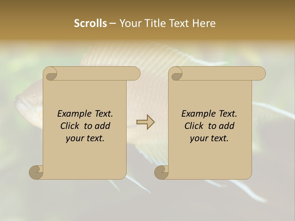 The Exotic Fish In Aquarium, Natural Lighting PowerPoint Template