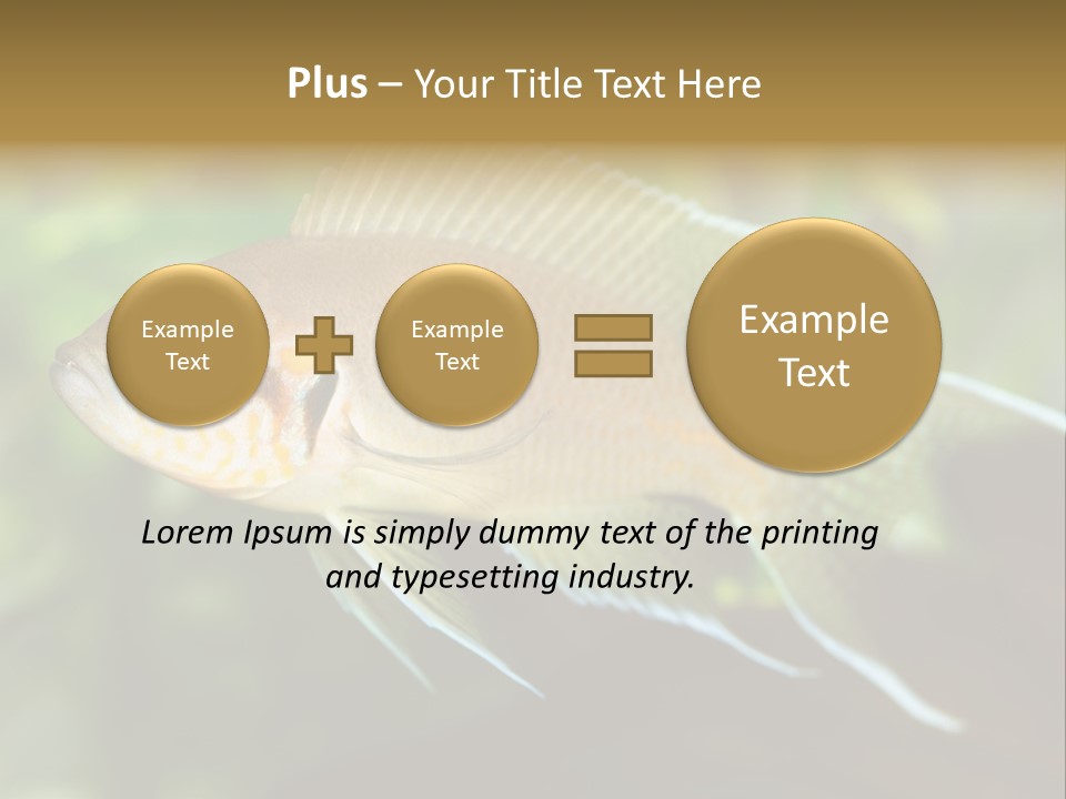 The Exotic Fish In Aquarium, Natural Lighting PowerPoint Template