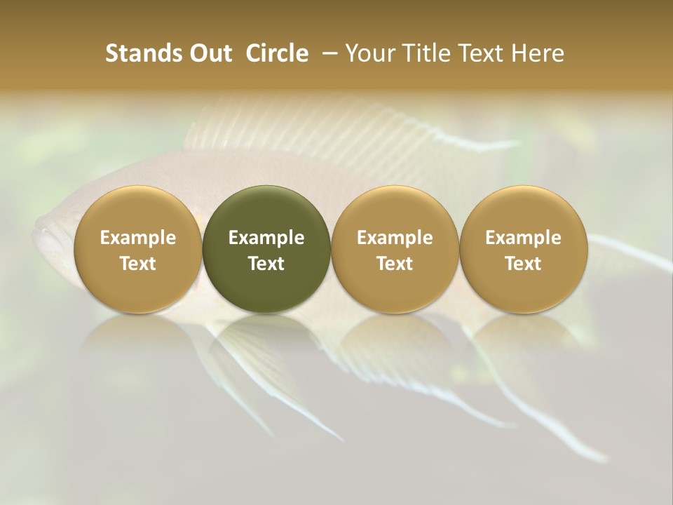 The Exotic Fish In Aquarium, Natural Lighting PowerPoint Template