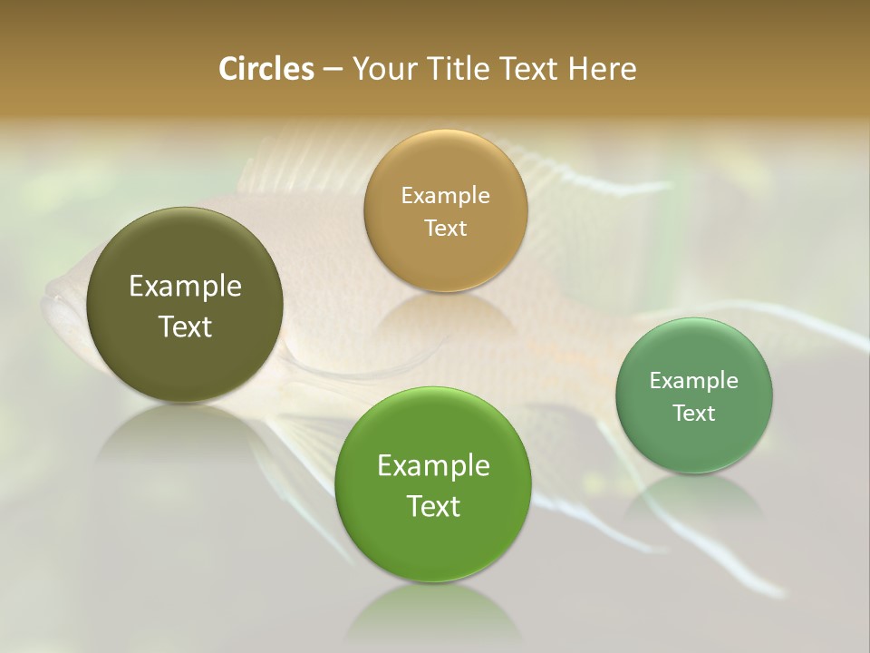 The Exotic Fish In Aquarium, Natural Lighting PowerPoint Template