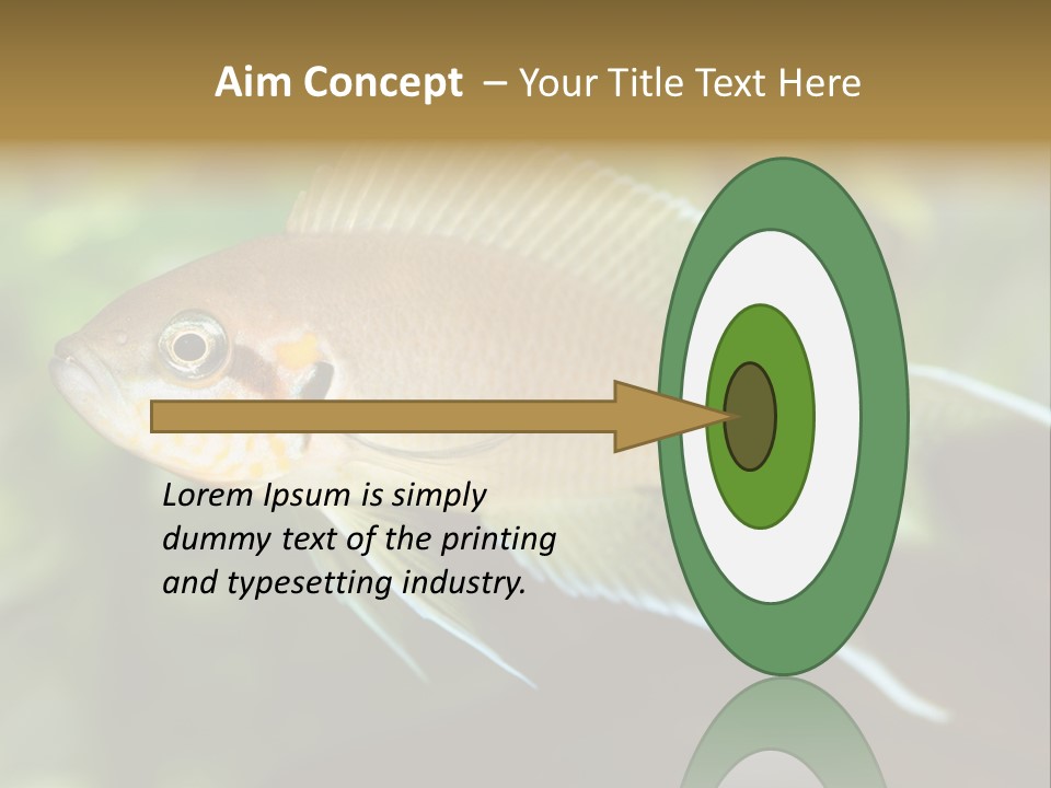 The Exotic Fish In Aquarium, Natural Lighting PowerPoint Template