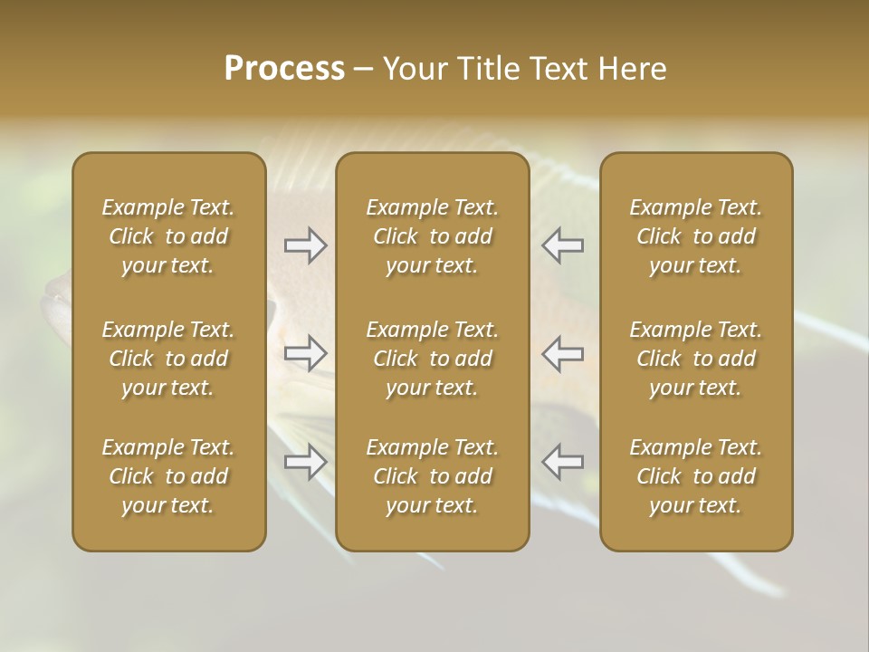 The Exotic Fish In Aquarium, Natural Lighting PowerPoint Template