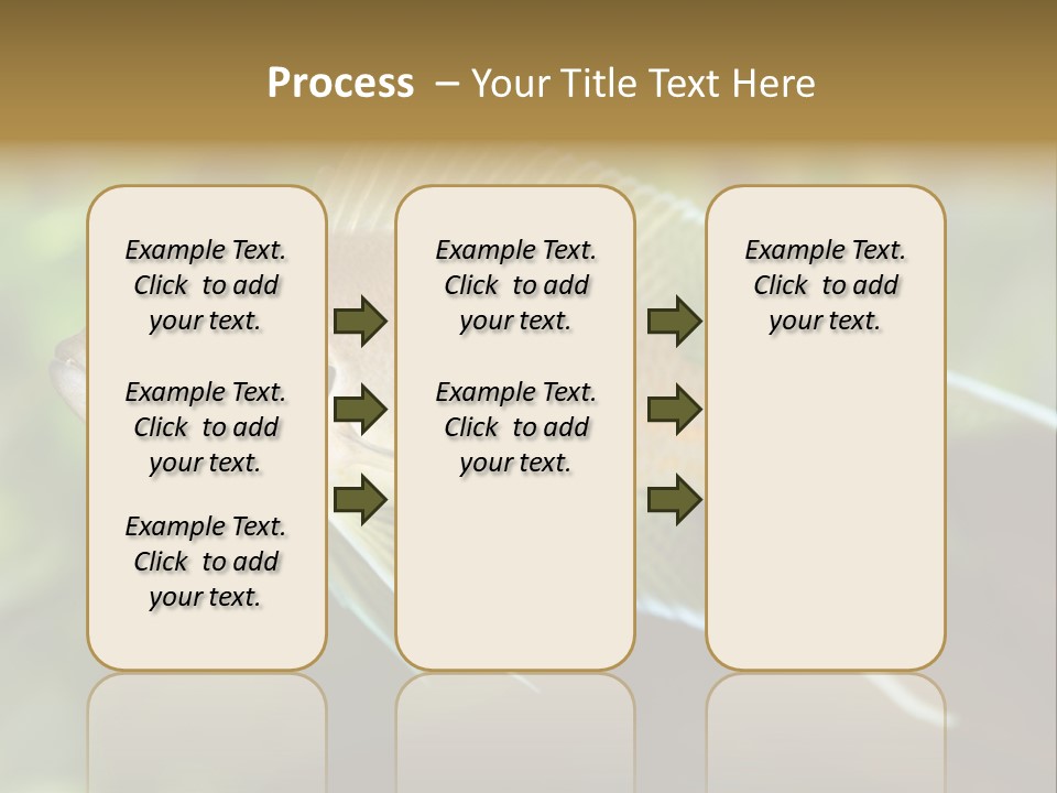 The Exotic Fish In Aquarium, Natural Lighting PowerPoint Template